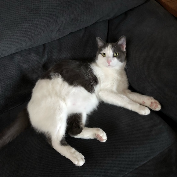 Welcome to my closet! 😻 - Picture 2 of 2